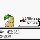 도라지마을 이미지