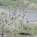 소양강민물집 이미지