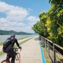 느티나무길>금강공원길 이미지