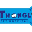 자람택스 | 방콕 텅러 펫 병원 (Thonglor Pet Hospital)에서 고양이 중성화 수술 받았어요.