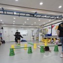 경희대석사등룡태권도장 | 여월동태권도,도당동태권도,부천태권도,여월초등학교,도당초,원종초,등룡태권도,인성교육태권도,줄넘기...
