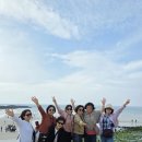 스타리아 | 제주도 스타리아 대절 후기 운전 걱정 없이 즐긴 제주 여행