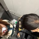 콜마르 | 엄마랑 유럽 스위스 바젤 여행 3박 후기 <콜마르를 가라>