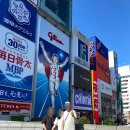 일본 여행 :: 교토, 아라시야마 당일치기 | 오사카 4박 5일 (2)