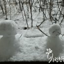 데굴데굴 이미지