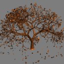 Deciduous Tree V0.4US 이미지