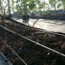 영란농장 이미지