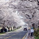 웅천 소류지 이미지