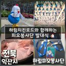 동산제일2 | 익산여행 아이와 체험 하림치킨로드 닭고기 생산과정 견학 - 하림 피오봉사단 13기 발대식