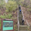 [100대명산] 유명산+용문산 연계산행 이미지