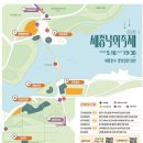 연기면_세종중앙공원(중앙)공터 | 2026 세종낙화축제 솔직 후기! 기대만큼 볼만했을까? 호수공원 주차부터 관람까지