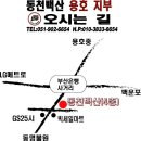 용호도장 이미지