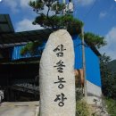 황금물결 농장 이미지