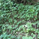 운영농장 이미지