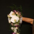 덕성여자대학교 평생교육원 특강 안내 이미지