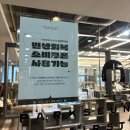 정자동미용실 박승철헤어스투디오 뿌염 지웅부원장 후기
