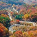 영동군 생활이동지원센터 이미지