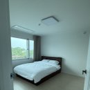 김녕돌담 | [제주]김녕돌담독채풀빌라 다동 내돈내산후기, 김녕해수욕장 근처 풀빌라