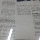 백합사 이미지