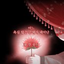 8. 뱀은 꽃을 먹는가