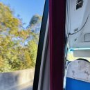 별밤비어 | 호주 시드니 8일차 - #블루마운틴 선셋&amp;별밤 투어