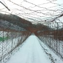 일출농장 이미지