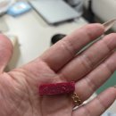 인터펫코리아 | 강아지 간식 추천 – 정직하게 소고기 트릿, 아낌없이 듬뿍 담긴 쿠팡 체험단 후기