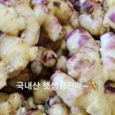 싱싱청과야채 - 광주시 중앙로 95-14 | 싱싱청과야채