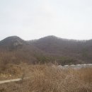 외입석 Daum카페