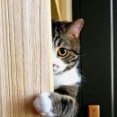 (주)제이오 이미지