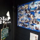 애견호텔 개인 이미지