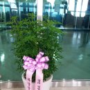 하남사진작가협회 회원전 이미지