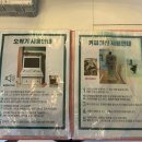 화정양화 이미지