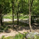 별의계곡 이미지