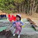 수선화펜션가족커플단체독채갯벌신축 | [태안펜션] 아이와 첫 맛조개 잡기! 태안독채펜션 '수선화펜션' 갯벌체험 완벽 후기