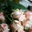 디오스컴퍼니 이미지