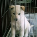 스마일하우스 이미지