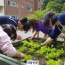 한탄강이야기협동조합 의양신문