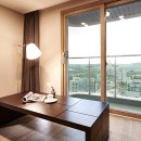 뉴라온스테이 이미지