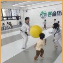 한들 태권도 | 아산태권도 아산 큰솔 태권도 진정한 태권도의 매력을 느꼈어요