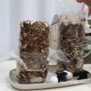 잘크는농장 이미지