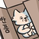 벼락마켓