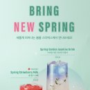 스프링가든 이미지