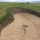 벙커구장 이미지