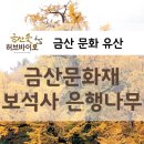 은행나무1길 입구 이미지