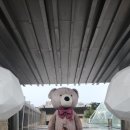 바니베어뮤지엄 | 비오는날 방문한 경주 바니베어뮤지엄 후기 - 신라의 역사를 인형으로 만나는 전시