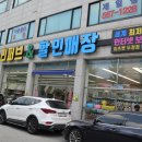 이츠펫 두정점 네이버블로그