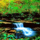 계곡&풍경 이미지