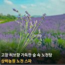 상하고향목장 이미지