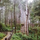 테마와 하루(지역축제 체험) 이미지